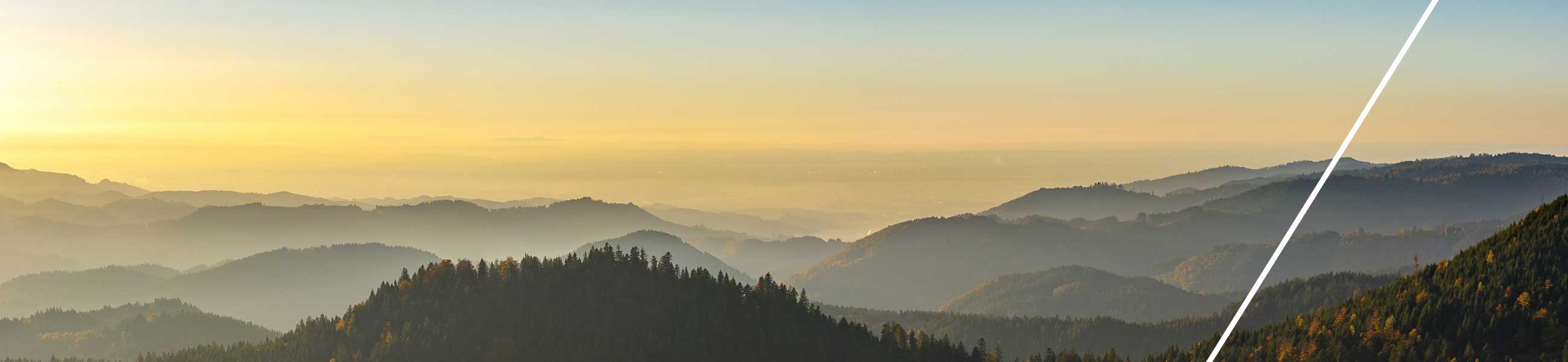 Bestattungen und Natursteine